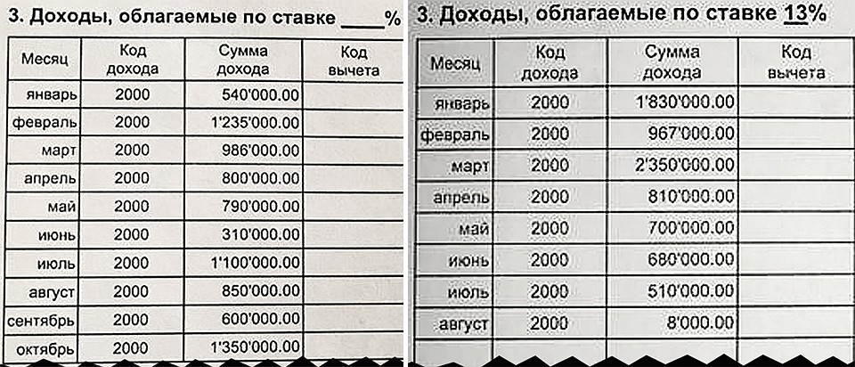 Заработки Брухуновой в 2017 (слева) и 2018 годах. Внушительные суммы вдруг сменяются скромными 8000 рублей...