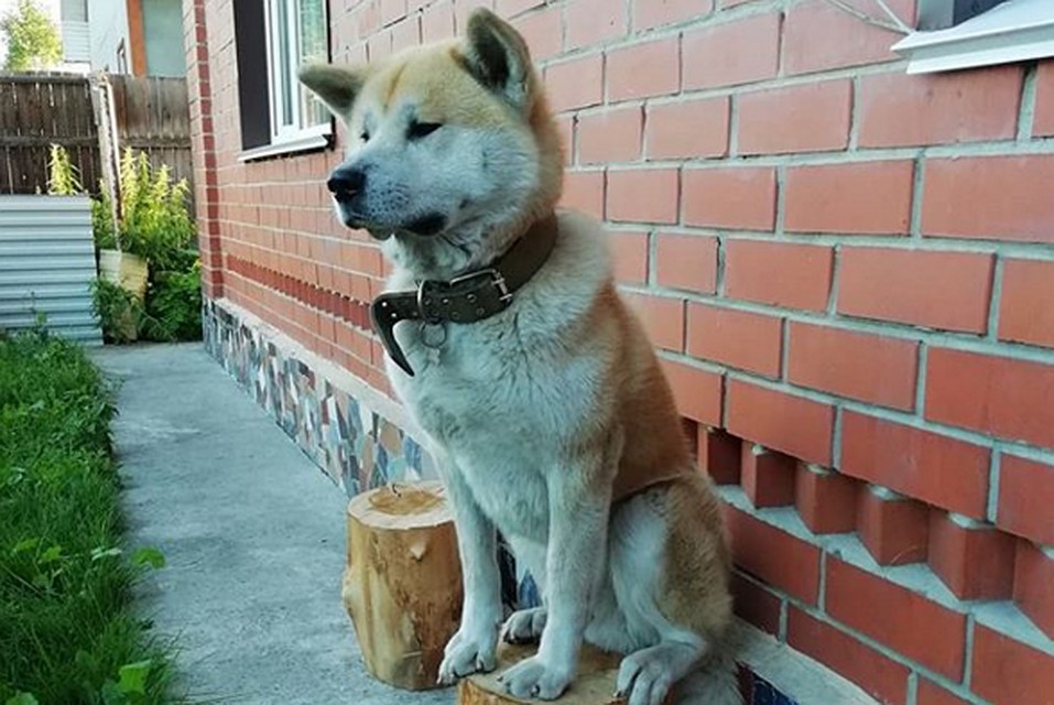 "Жду своего режиссера" Фото: Instagram
