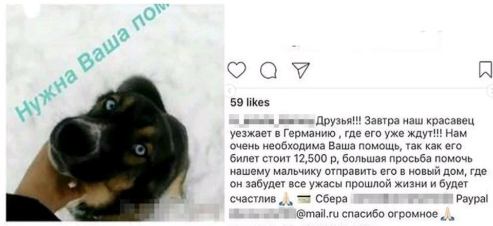 Подписчикам, конечно, обещали совсем другое: сытую жизнь в семье бюргеров и мюнхенские колбаски.