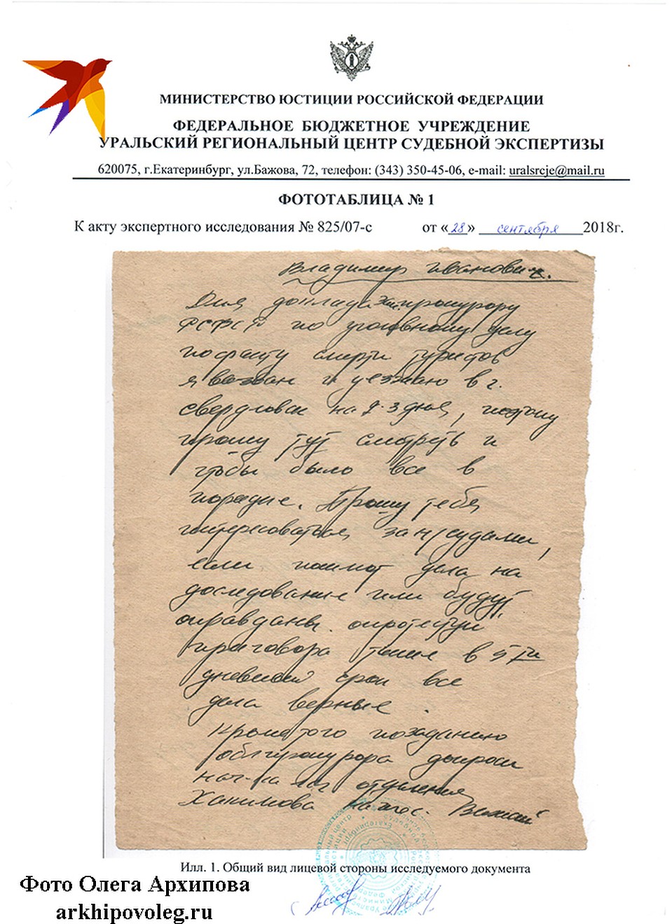 Техническая экспертиза