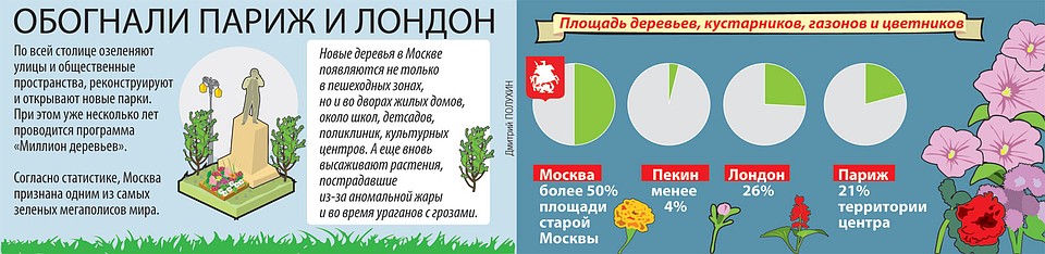 Площадь деревьев, кустарников, газонов и цветников.