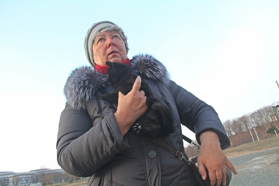 Дать приют в передержке взамен сиаму Татьяна решила маленькому котёнку чёрного окраса Фото: Александр ВАСИЛЬЕВ