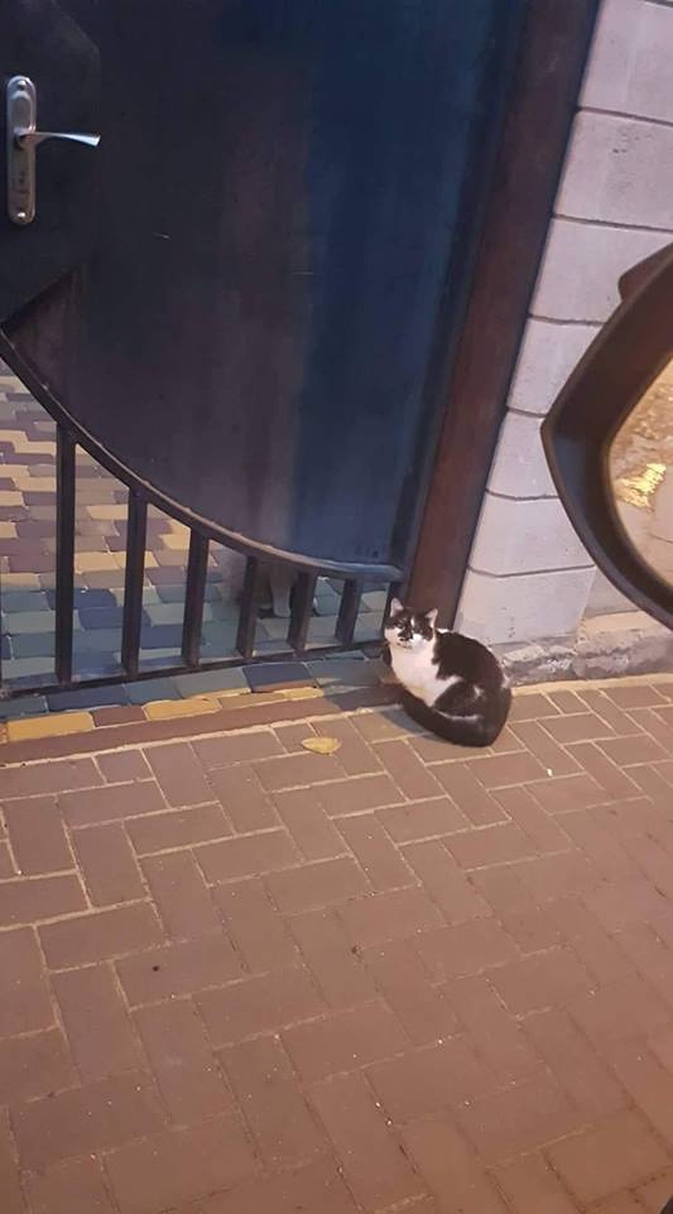 Фото: фэйсбук