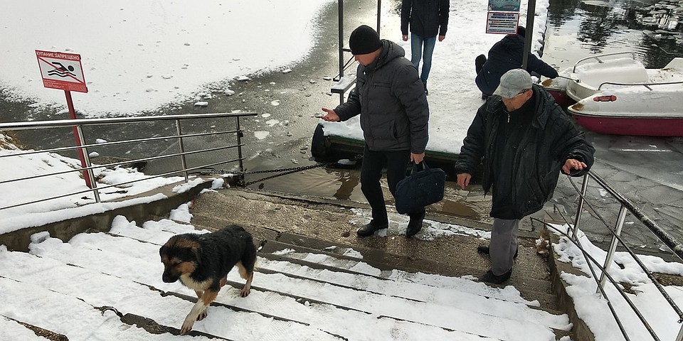 Собака ушла со своим спасителем. Фото: Леонид Карпов