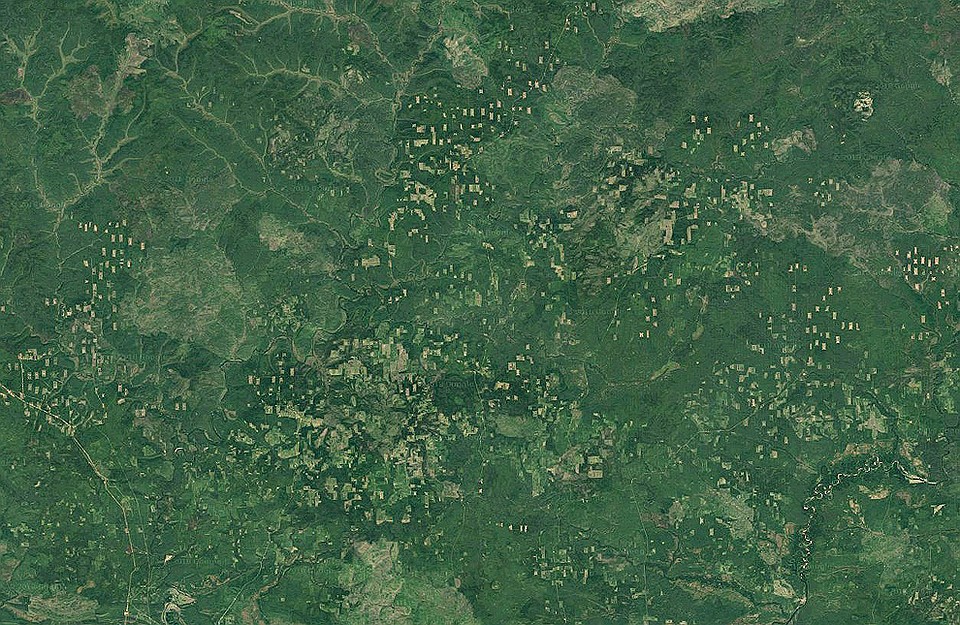 Приблизив карту, всё встаёт на свои места. Проплешины всюду. Фото: Google