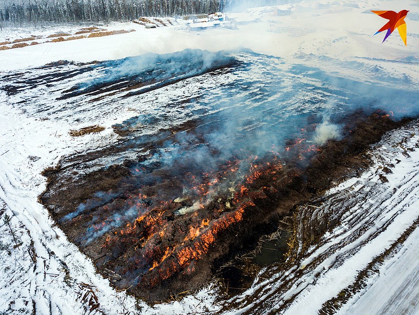 Практичные китайцы где рубят, там и распиливают, а отходы жгут Фото: Виктор ГУСЕЙНОВ