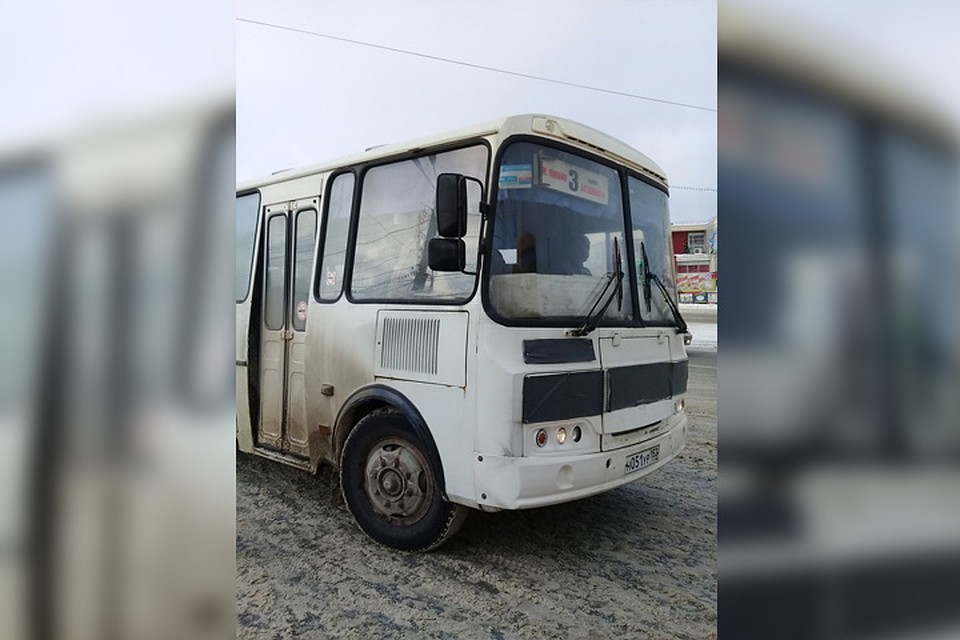 Водитель просил кондуктора перестать донимать пассажиров, но та не унималась.