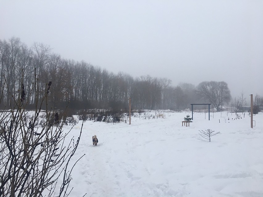 Туман "лежал" над городом аж до 10:00 Фото: Виктория ЖУКОВА