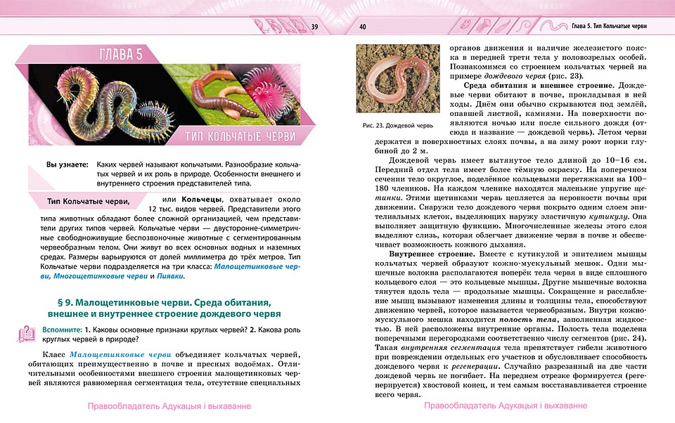Учебник биологии. 8-й класс. https://uchebniki.by/