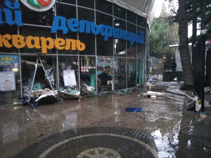 Вся вода из бассейна вытекла на улицу. Фото: пресс-служба МЧС РФ по РК