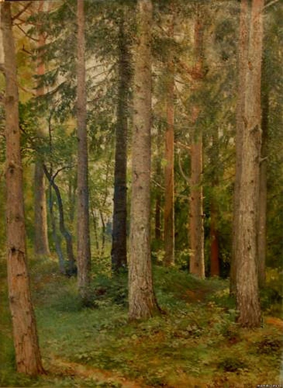 «Лес. Ели» Ивана Шишкина