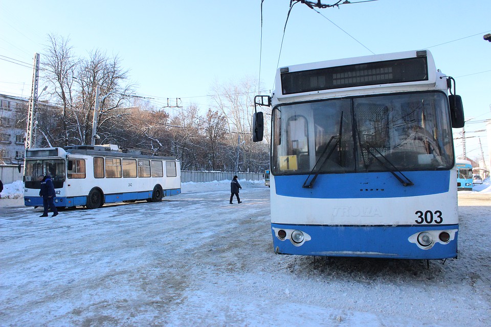 . Фото: Ольга МАКАРОВА