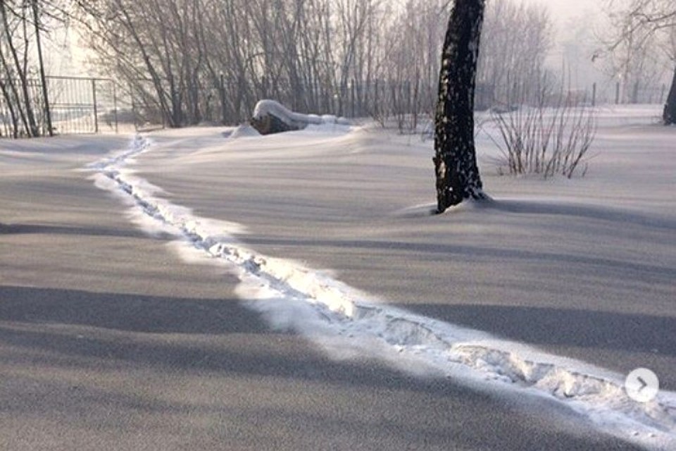 В парке Горького в Ленинске-Кузнецком. Фото: Instagram, mreporter_kemerovo