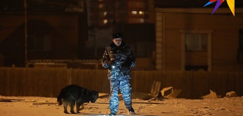 Объявлена минута тишины. Собаки слушают, остались ли под завалами пострадавшие Фото: Мария ЛЕНЦ