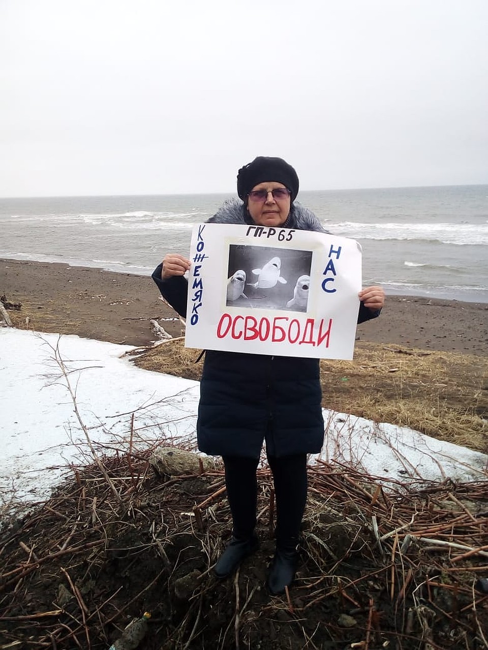 Десятки жителей, озабоченных здоровьем китообразных, встали на защиту животных и в очередной раз потребовали их освободить. ФОТО: «Эковахта» Сахалина.