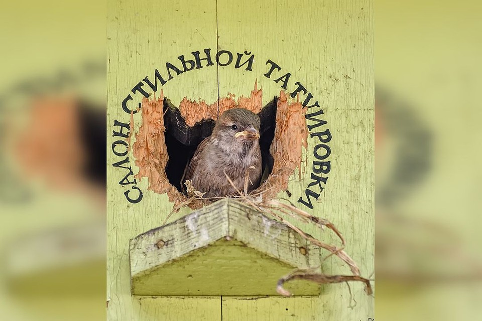 Мода, стиль манят меня - дома папа даст ремня... Фото: Андрей ПОЛЯКОВ