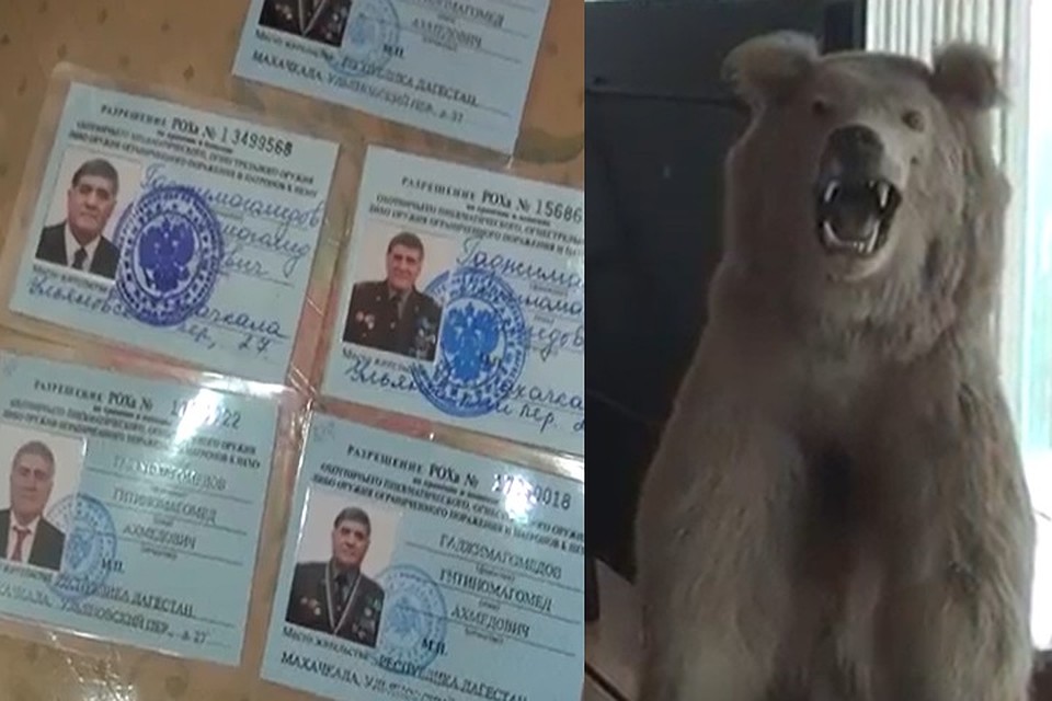 Скрин-фото: оперативная съемка