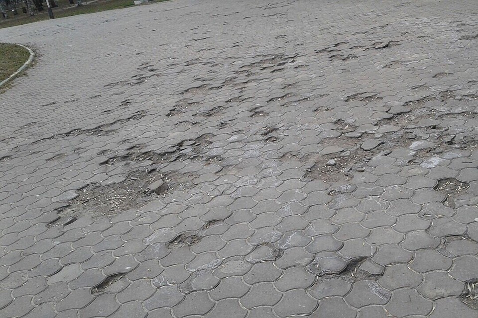 Фото: https://vk.com/typical_nn Фото: СОЦСЕТИ