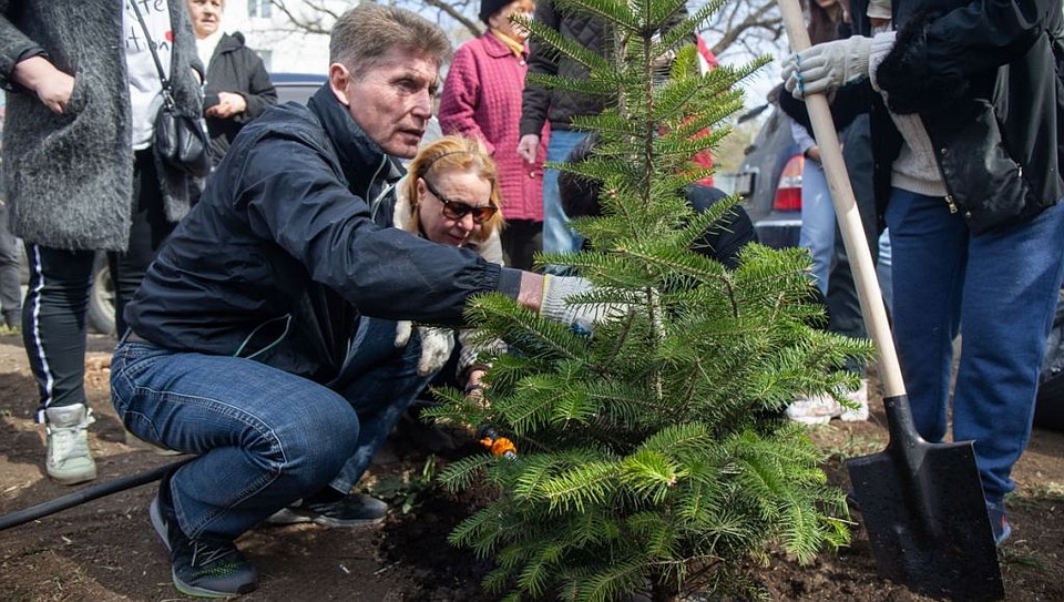 В сквере высадили 100 кустов. Фото: Александр Сафронов (Администрация Приморского края)