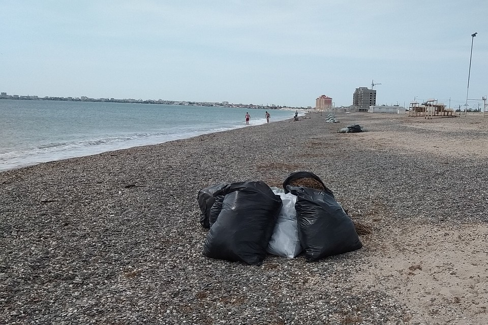 Ранних купальщиков встречают мешки с водорослями во всей береговой линии Фото: Анастасия ЖУКОВА