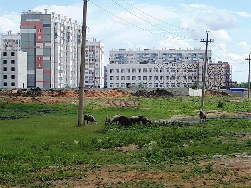 На заднем плане - новая школа в Чурилово. До нее надо как-то еще добраться по грязи. Фото: Е-область