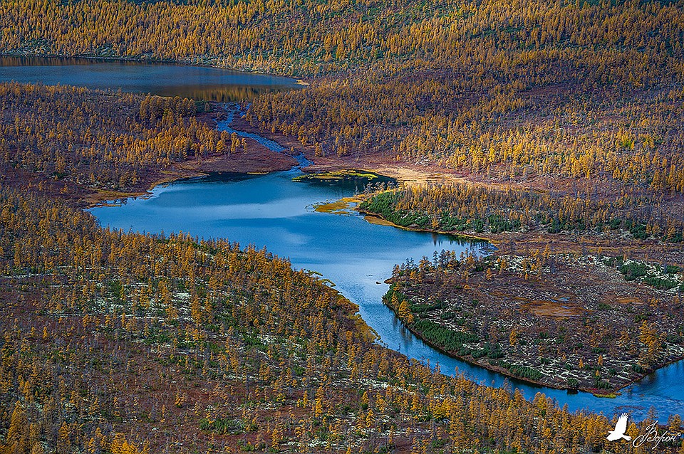 Фото: Алексей Ворон