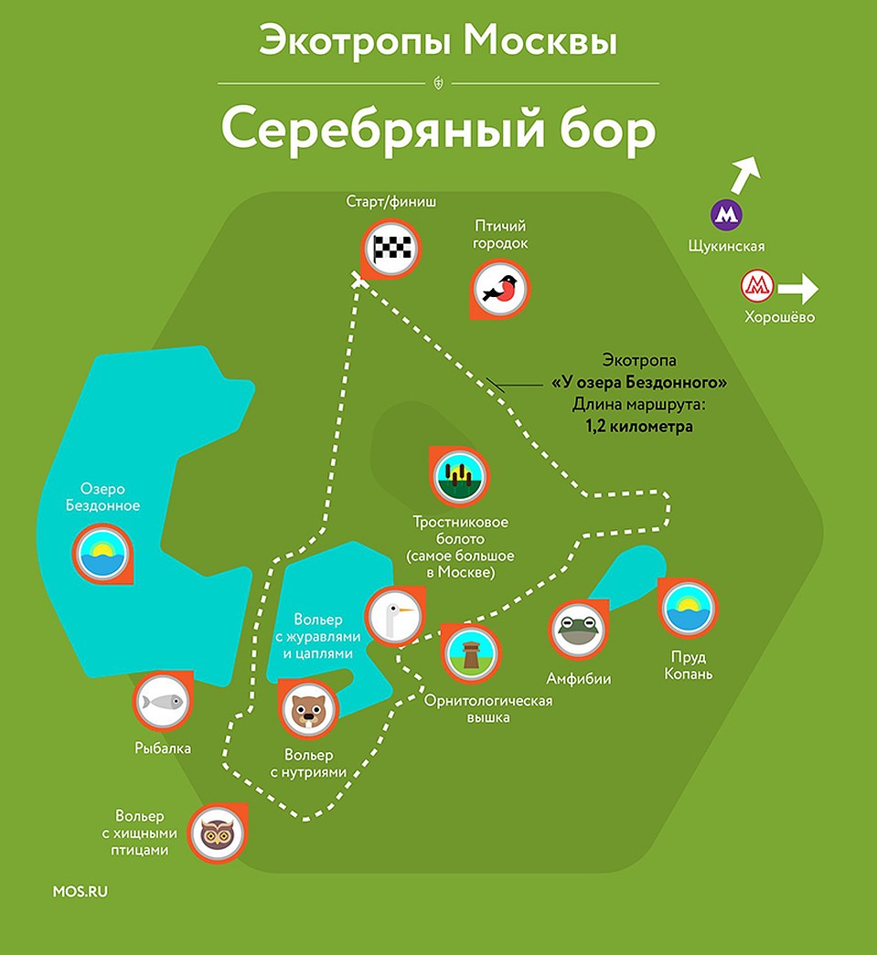 Схема маршрута Серебряный бор