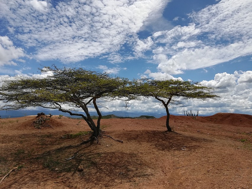 Пустыня Desierto de la Tatakoa