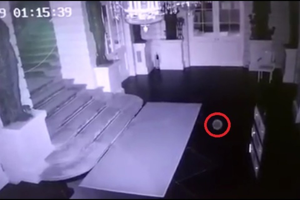 Сравните: вот кадр с "ночным пришельцем". Фото: пресс-служба государственного музея-заповедника "Павловск"