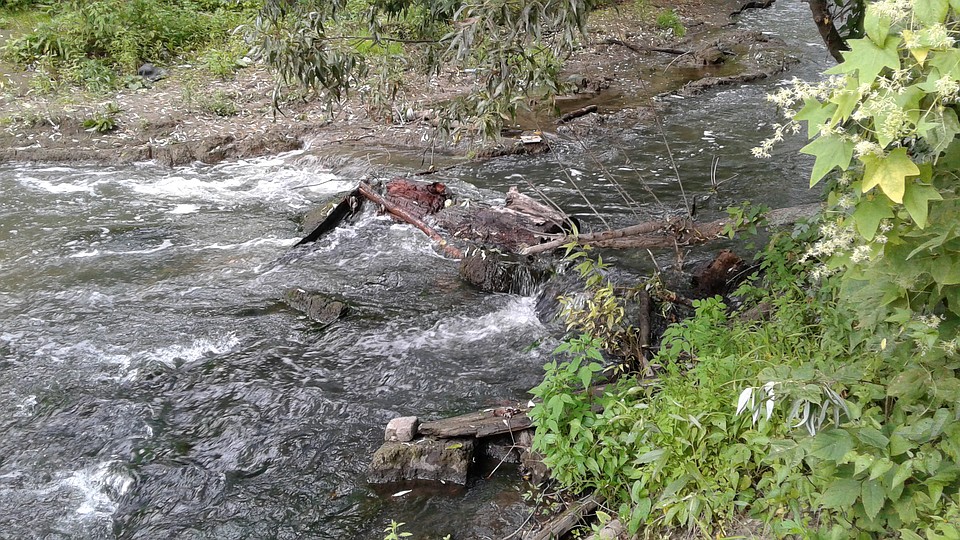 Бурный поток – здесь сегодня протекает большая часть воды Трубежа Фото: Владимир ФРОЛОВ