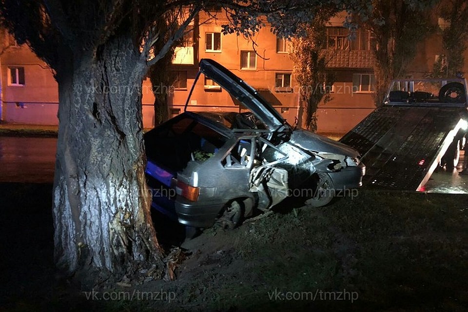 Автомобиль буквально обмотало вокруг дерева; у водителя не было шансов выжить