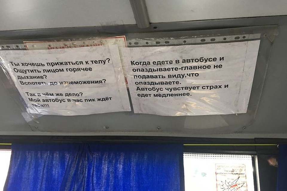 В соцсетях люди отметили, что в этом автобусе несколько подобных объявлений. Фото: Валерий Карачаков