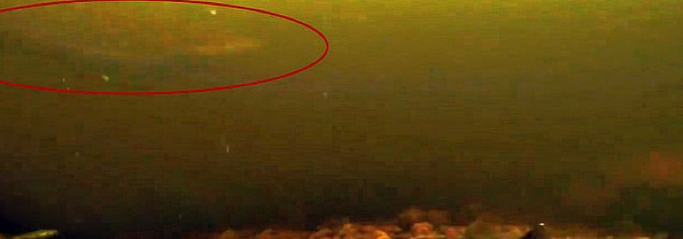 Змееподобное существо на кадрах со дна озера Лох Несс.