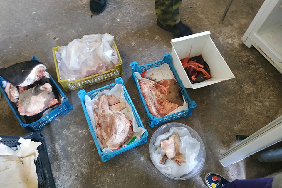 Запас мяса не такой масштабный, но он есть Фото: Ольга ЖУКОВА