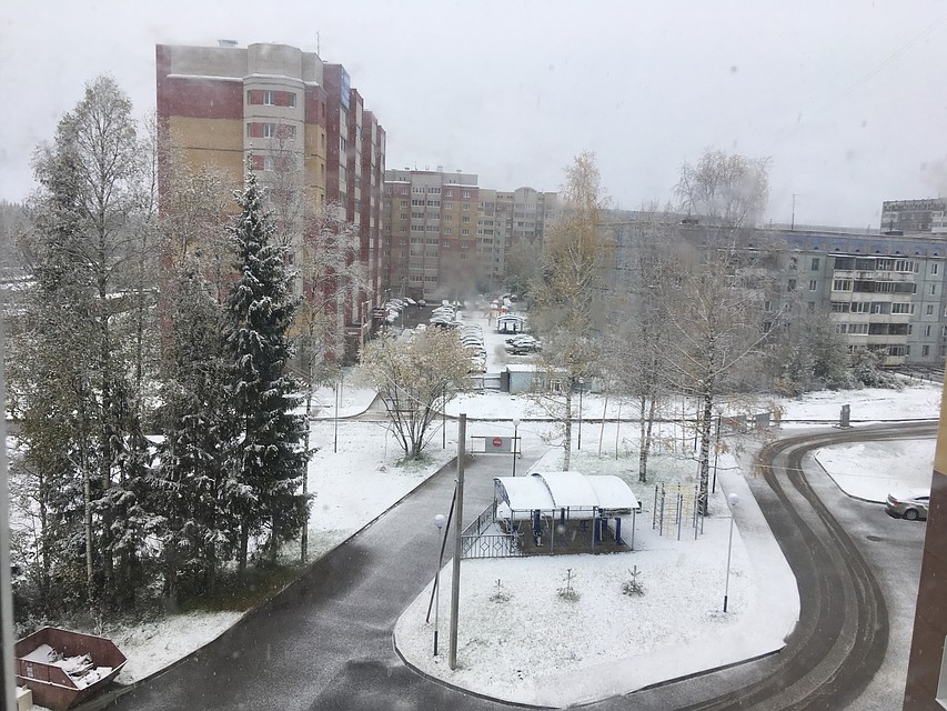 Горожане делятся фотографиями в социальных сетях Фото: соцсети