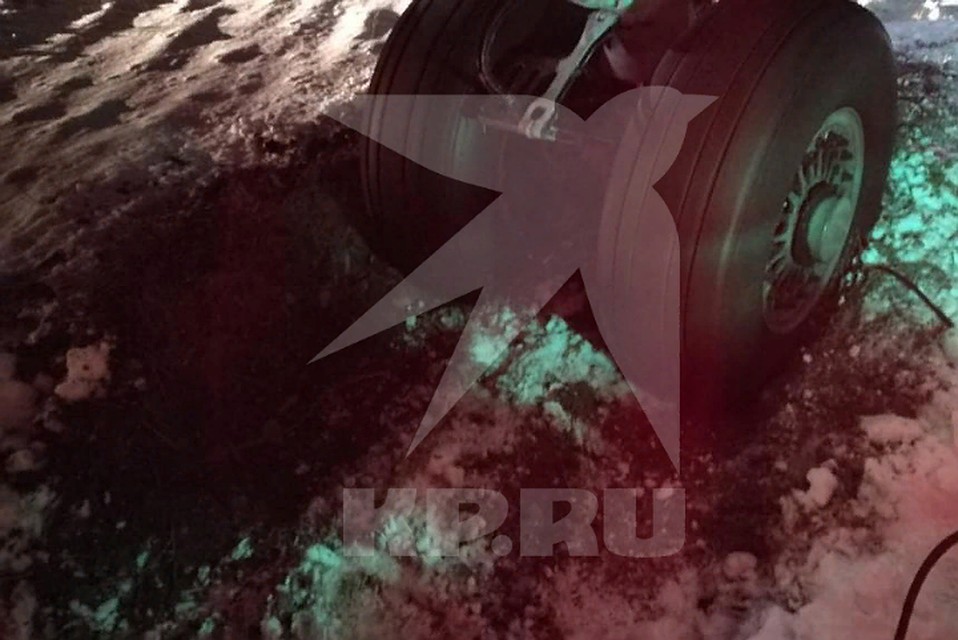 Есть сведения, что это сотрудники Росатома, чье руководство и организовало рейс. Фото: Комсомольская правда