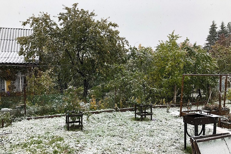 Снег во Всеволожском районе Ленобласти Фото: СОЦСЕТИ