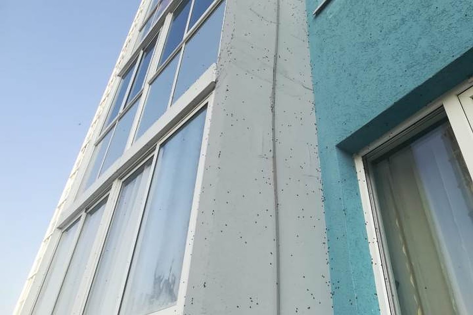 Жители областного центра удивлены количеством насекомых. ФОТО: Анна Позолотина
