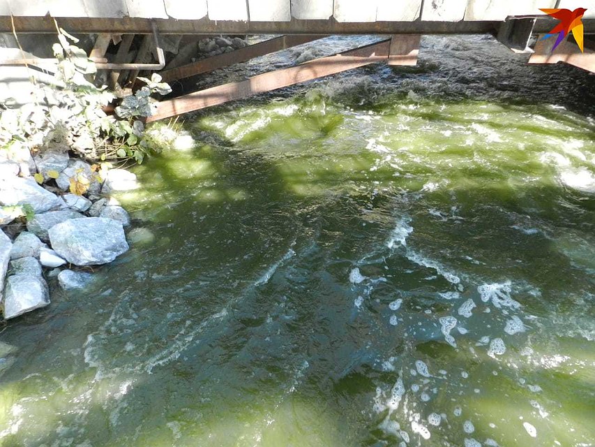Такая вода идет на водоснабжение Нижнего Тагила. Фото: читательница "КП"