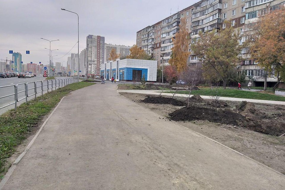 Успели поставить только одну будку. Фото: Инна КУМЕЙКО