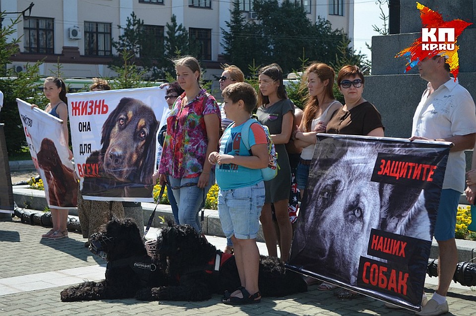 Пикеты с требованием дать живодеркам реальные сроки прошли во многих городах страны Фото: Ольга МОРОЗОВА