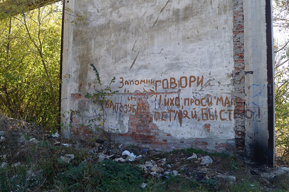 Пейзажи рядом с домом Рослякова нагоняют грусть Фото: Анастасия ЖУКОВА