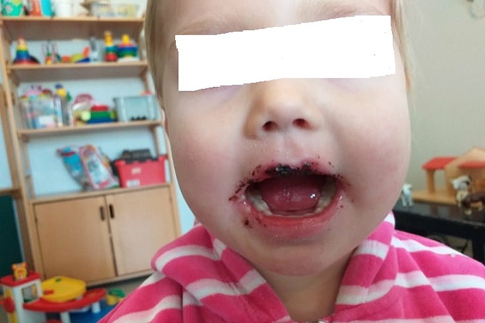 А вот так после пребывания в приюте выглядит Еуниче (Фото: архив семьи Зубковых).