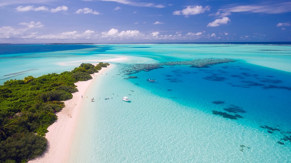 Фото: pixabay.com