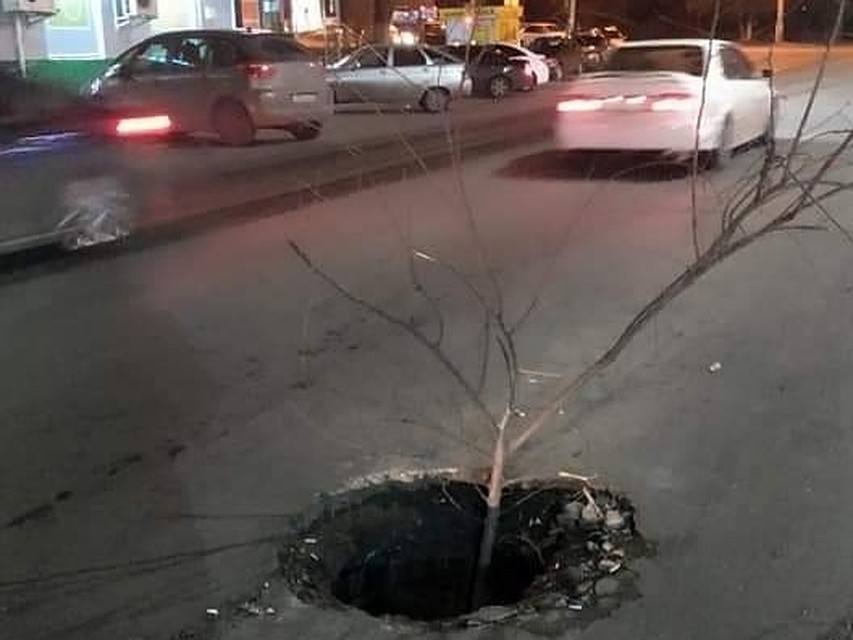 Фото соцсетей