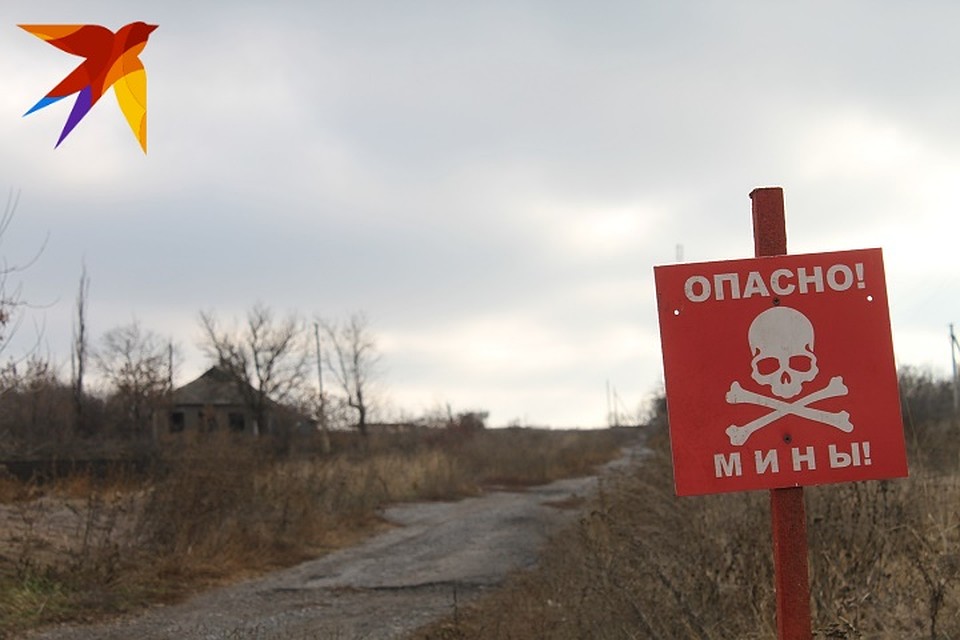 Процесс разведения займет трое суток Фото: Никита МАКАРЕНКОВ, Павел ХАНАРИН