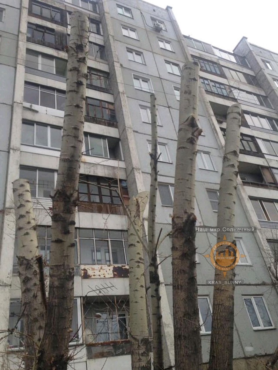 И не только у школы. Фото: Наш микрорайон Солнечный.