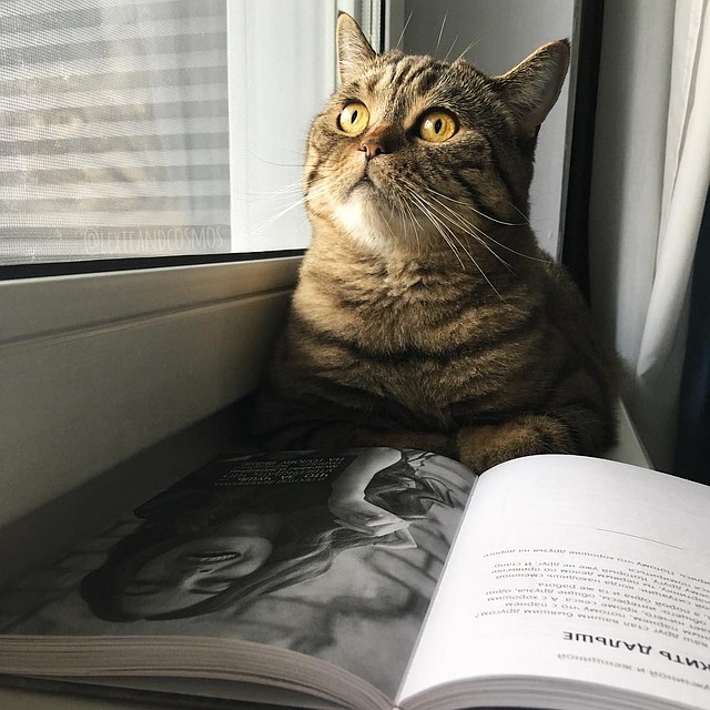 Лекси читает книгу известного блогера Наташи Красновой. Фото: соцсети