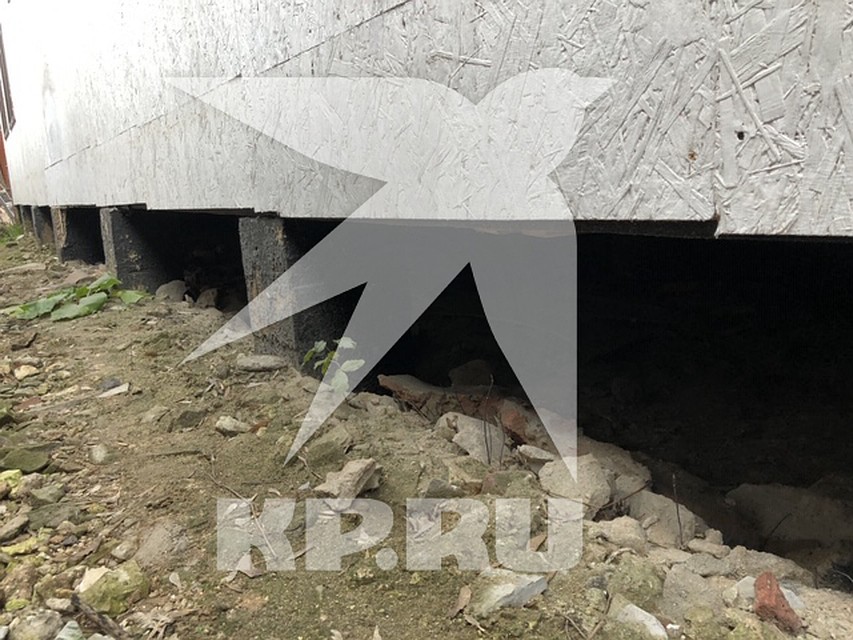 Под постройкой есть пространство, куда она могла забраться, чтобы не замерзнуть. Фото: Мария ШЕСТЕРИКОВА