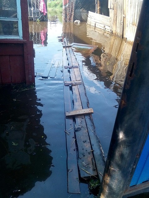В домах и огородах стояла вода. Фото: соцсети.
